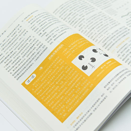 津巴多普通心理学（第8版） + 大癫狂 非同寻常的大众幻想与群体性疯狂  套装两册 商品图8