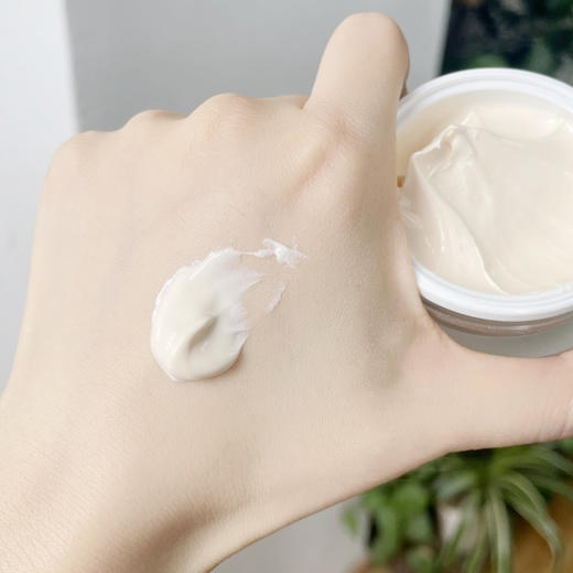 【新品】兰嘉丝汀紧致舒润日霜SPF15  50ml（23.11） 商品图2