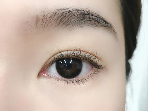 （月抛）Kikicon 黑松露 14.2mm 着色13.4mm 商品图1