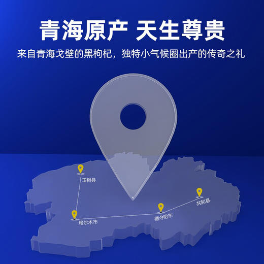 杞里香 黑枸杞子 礼盒装特优牛头大果枸杞子90g*5罐【LXSW2.9】 商品图2