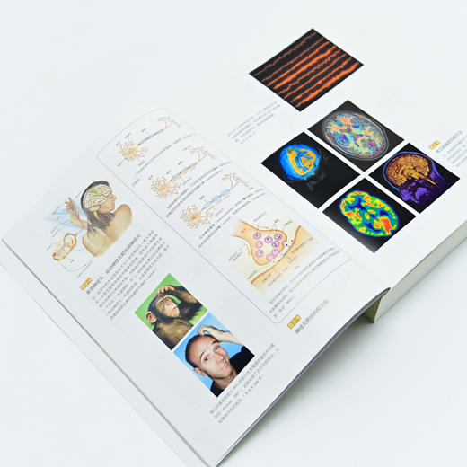 津巴多普通心理学（第8版） + 大癫狂 非同寻常的大众幻想与群体性疯狂  套装两册 商品图10