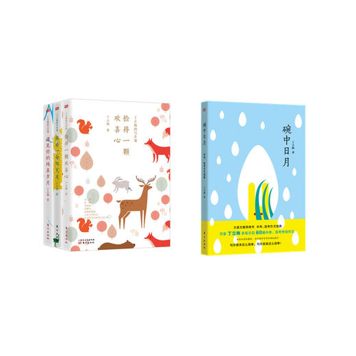 《丁立梅大语文套装：丁立梅的写作课(全三册)+碗中日月》 商品图0