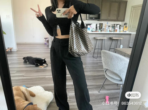 goyard hobo拉链托特-黑色 商品图5