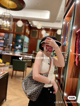 goyard hobo拉链托特-棕色