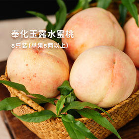 创下浓甜新高度！【奉化湖景玉露水蜜桃】桃香鲜灵！