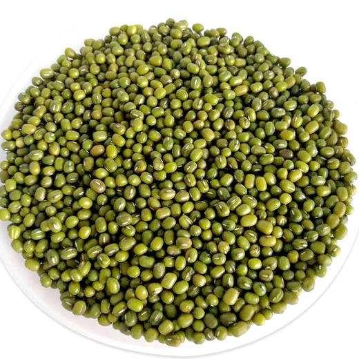 【仅供集采】江南畔大粒东北绿豆2500g*6桶/箱 商品图5