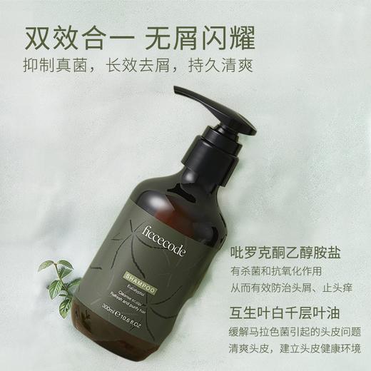 【分销专用】菲诗蔻桉树洗发水发膜  去屑止痒控油无硅油氨基酸持久留香 商品图3