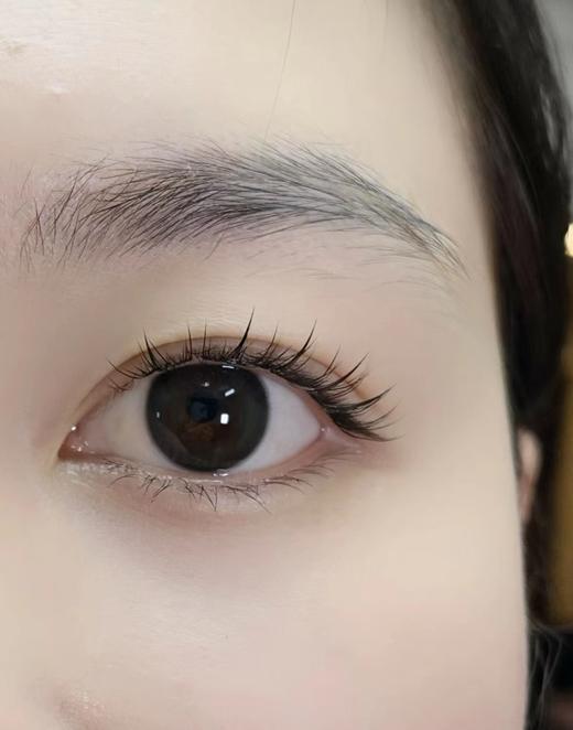 （半年抛/日抛）Fullygift 清纯哲学 14.2mm 着色13.4mm 商品图1