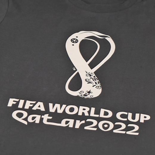 ADIDAS/阿迪达斯 OE  TEE世界杯官方logo短袖T恤HD6367 商品图2