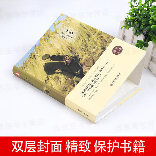 牛虻 世界名著正版经典文学小说高中生大学生课外书适合读的课外读物书籍畅销书排行榜原著成人好书推荐 商品图2