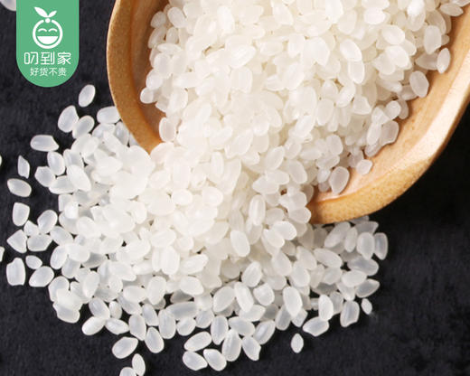 盘锦蟹田大米-粥米（5kg/袋）生产日期: 2月 商品图1