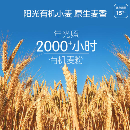 伊威婴幼儿有机营养面条（多款口味可选） 商品图1