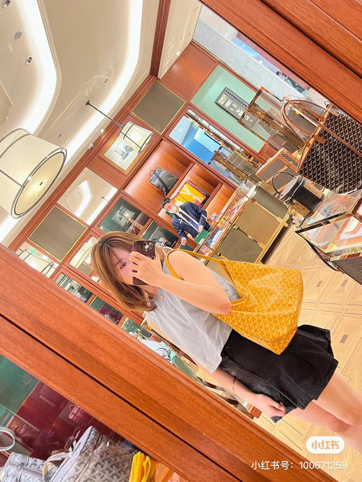 goyard hobo拉链托特-落日黄 商品图5