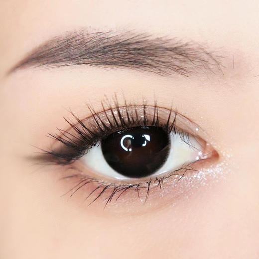 日抛 Chonos 巨目黑桃 14.5 大黑 商品图5