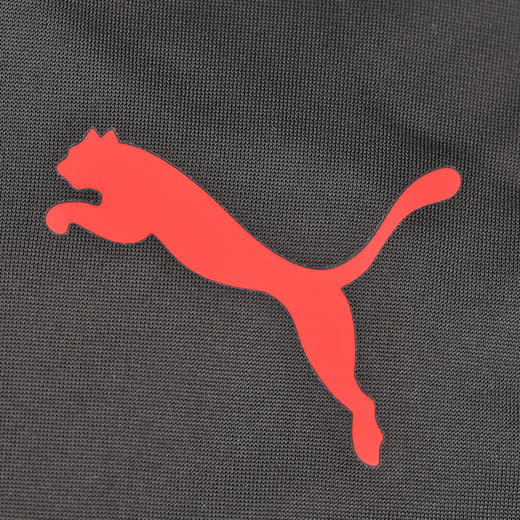 PUMA/彪马 PUMA x BATMAN Training Pants 蝙蝠侠联名训练梭织长裤65802103 商品图2