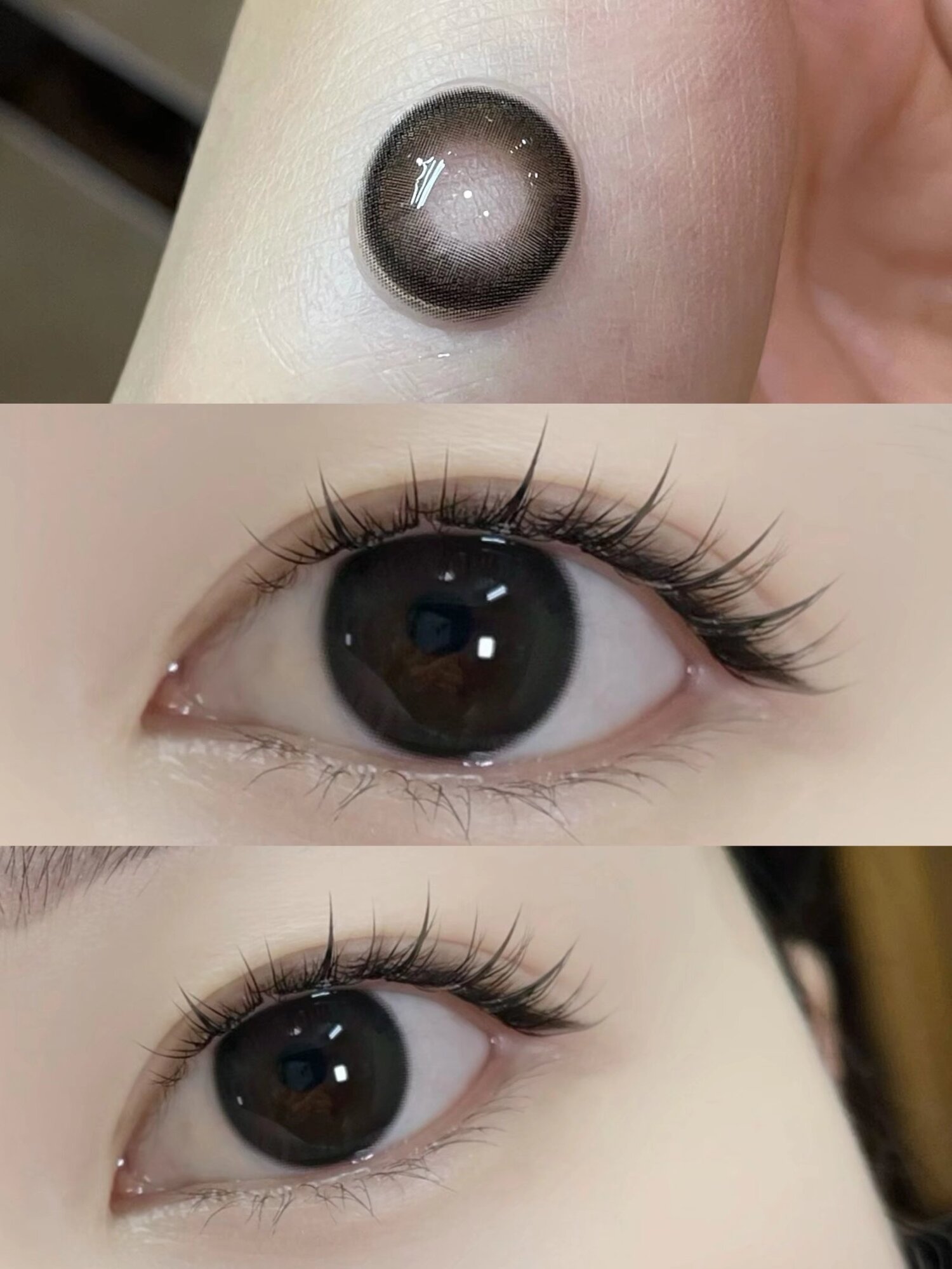 （半年抛/日抛）Fullygift 清纯哲学 14.2mm 着色13.4mm