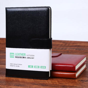 递乐 A5磁搭扣商务笔记本定制/加厚日记本/皮面记事本/复古办公会议本120张 4327黑色 商品图3