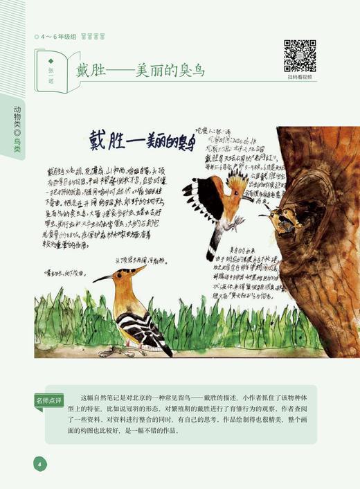 【自然观察笔记2】中国农业出版社官方正版 商品图4