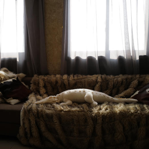 AWHITE 鳄鱼艺术衍生摆件 商品图1