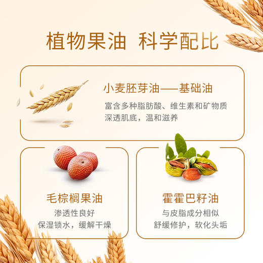 [罗湖院区]露安适抚触油150ml小麦油新生婴儿宝宝全身按摩天然舒缓滋润专用 商品图1