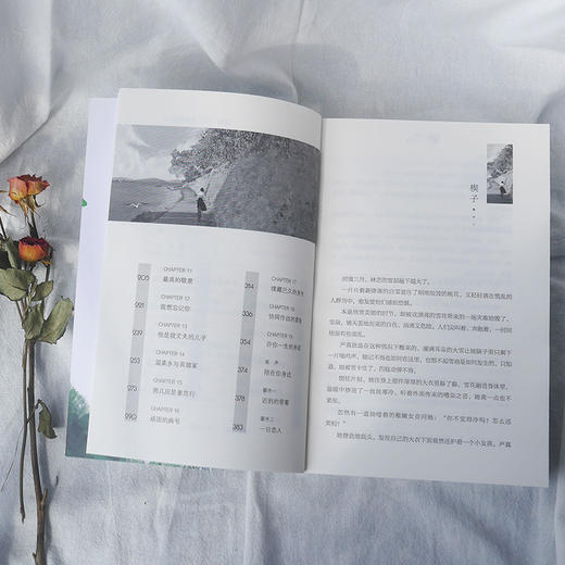 与他并肩苏格兰折耳猫 你的诺言我的沧海 双向奔赴vs温柔治愈青春现代军旅文小说 商品图4