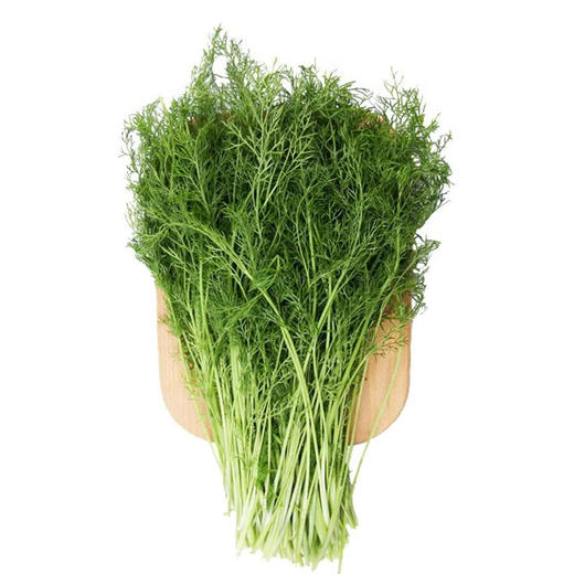 【6.9元2斤】茴香（1500010） 商品图0