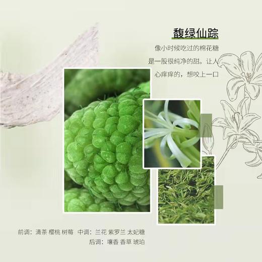 【买一送一】植物语录 Plantvoice森氧馥绿仙踪磨砂膏 滋润修护抗氧持久留香 商品图2