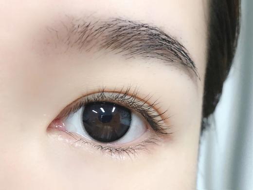 （月抛）Kikicon 香叶乌龙 14.2mm 着色13.5mm 商品图2