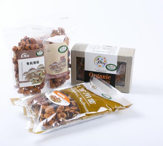 信洲有机滑子菇100g/袋 商品图0