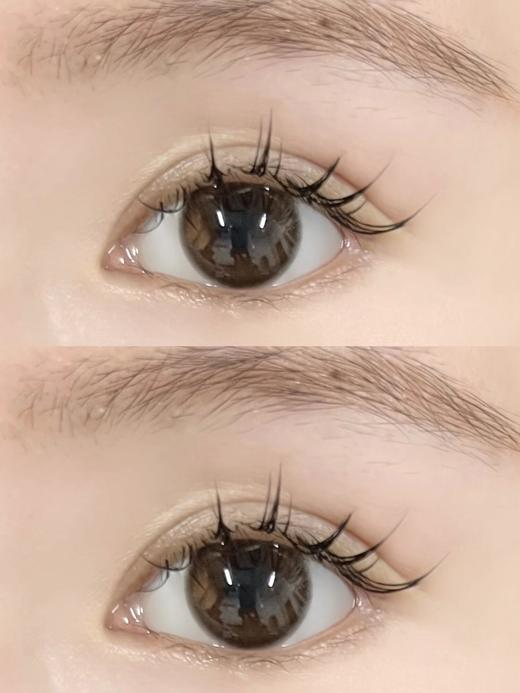 （年抛）Aromi 可可椰糖 14.2mm 着色13.2mm 商品图4