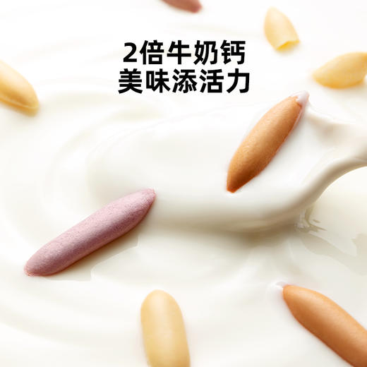 窝小芽元气芝士脆40g起 3种果蔬芝香酥脆 商品图2