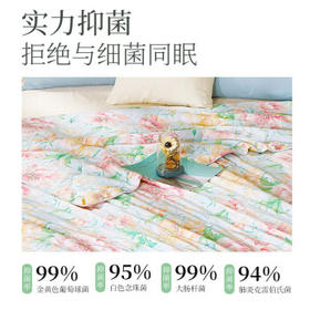 富安娜被子夏凉被可水洗空调被七孔双人抑菌夏被免被套2.5斤203x229cm