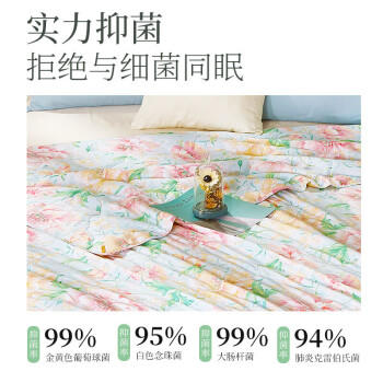 富安娜被子夏凉被可水洗空调被七孔双人抑菌夏被免被套2.5斤203x229cm 商品图0