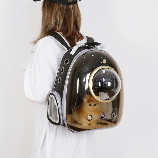 猫包外出双肩包太空舱宠物包装猫背包猫咪外出包便携太空包透明包 商品图1