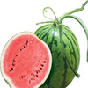 【9元/个】地雷西瓜（1501676） 商品缩略图0
