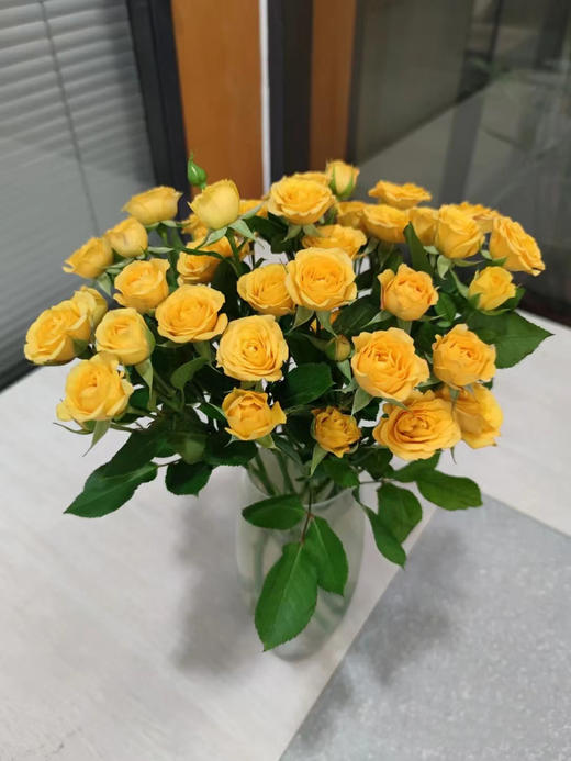 梦幻芭比多头玫瑰（3枝） 商品图2