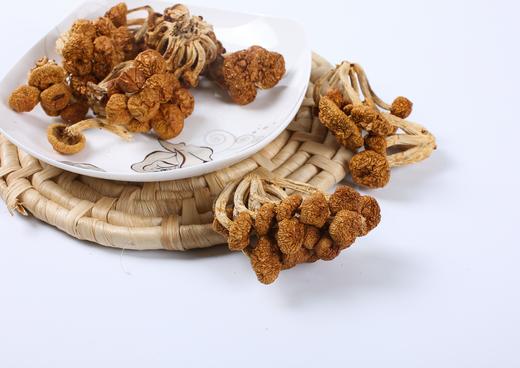 信洲有机滑子菇100g/袋 商品图1