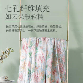 富安娜被子夏凉被可水洗空调被七孔双人抑菌夏被免被套2.5斤203x229cm 商品图3