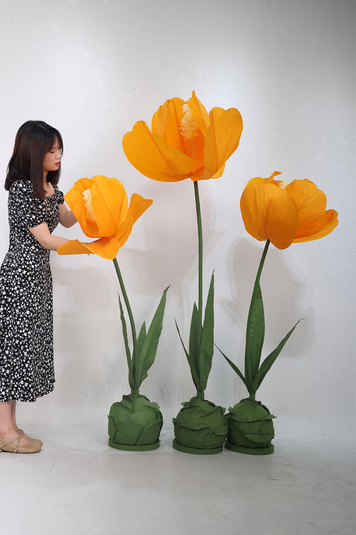 郁金香（运费自理） 商品图2