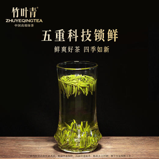 竹叶青峨眉高山绿茶特级（静心）经典礼盒茶叶100g 商品图9