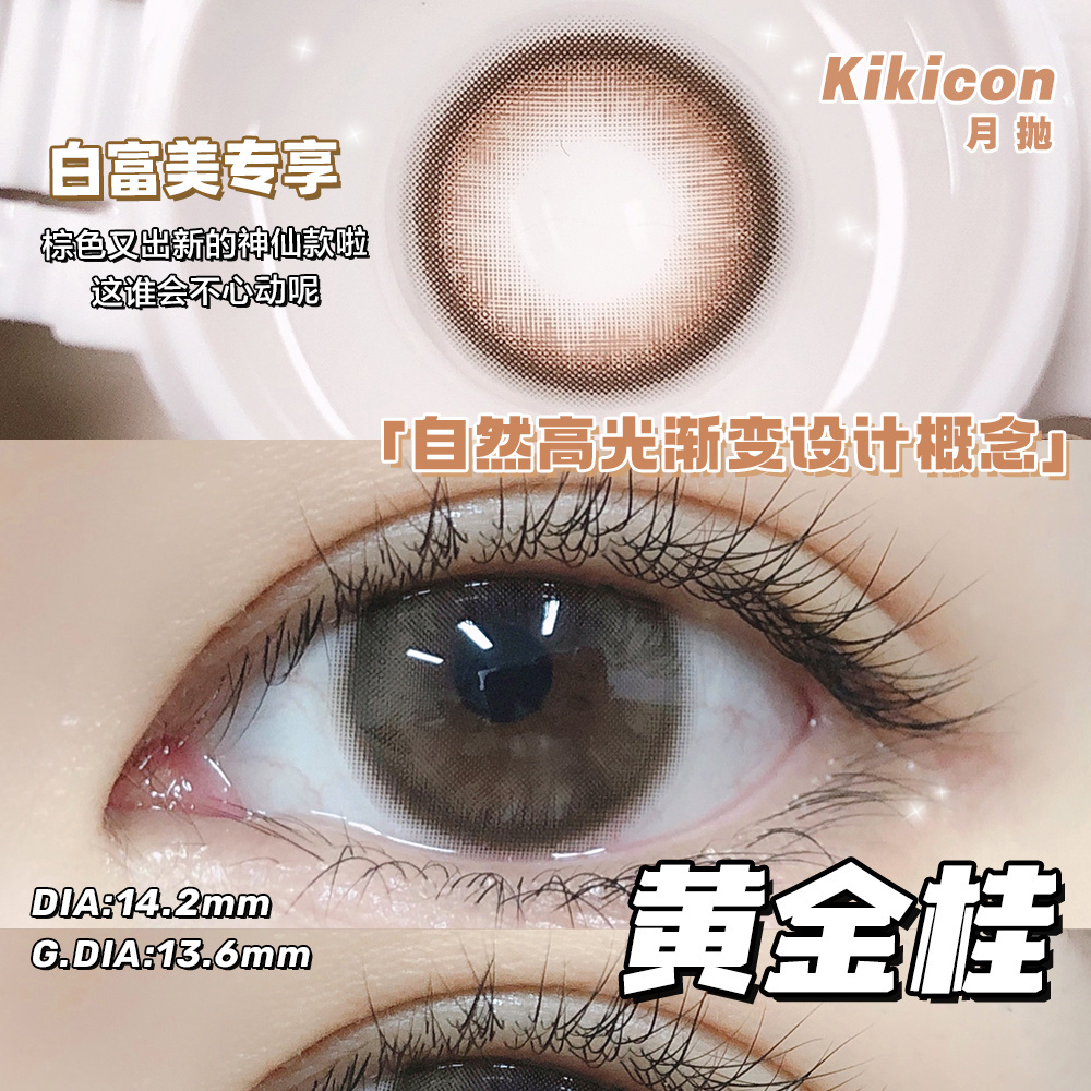 （月抛）Kikicon 黄金桂 14.2mm 着色13.6mm