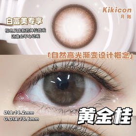 （月抛）Kikicon 黄金桂 14.2mm 着色13.6mm