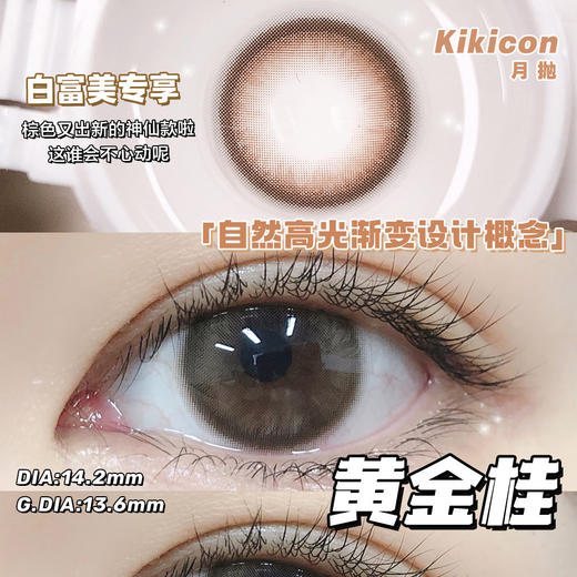 （月抛）Kikicon 黄金桂 14.2mm 着色13.6mm 商品图0