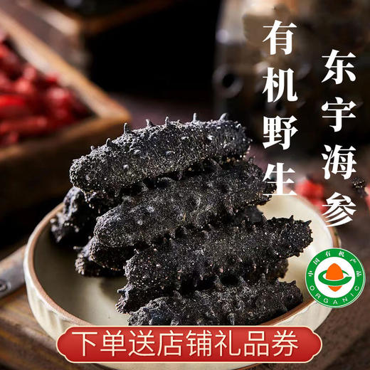 【厂商直发】烟台海参东宇有机野生干海参300g/500g盒装多种规格可选包邮 商品图0