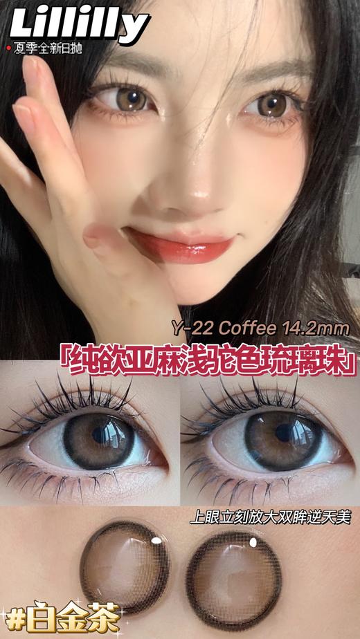 月抛lillilly y22白金茶（白茶金） 直径14.5mm着色13.68mm 商品图0