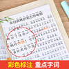 【全套4册】森林报春夏秋冬彩图注音版儿童童话故事书3-6-8-12岁正版经典儿童文学一年级二三四年级绘本小学生课外阅读书自然科普 商品缩略图2