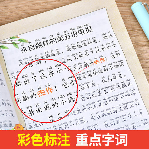 【全套4册】森林报春夏秋冬彩图注音版儿童童话故事书3-6-8-12岁正版经典儿童文学一年级二三四年级绘本小学生课外阅读书自然科普 商品图2