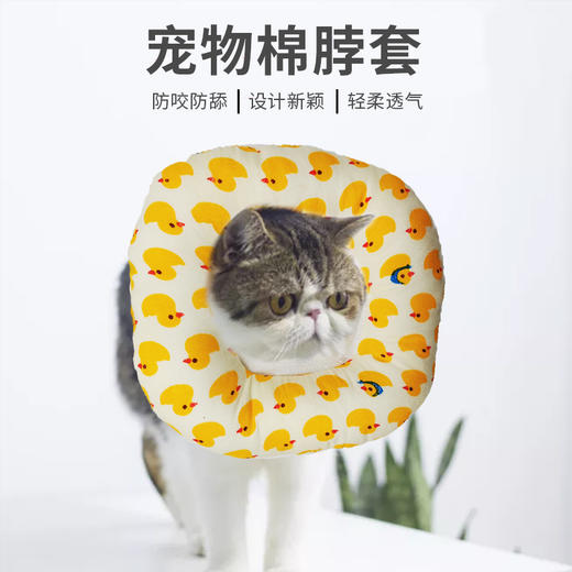 伊丽莎白圈 棉脖套 猫咪围脖套犬猫通用防抓猫狗项圈 防护圈美容罩 商品图1