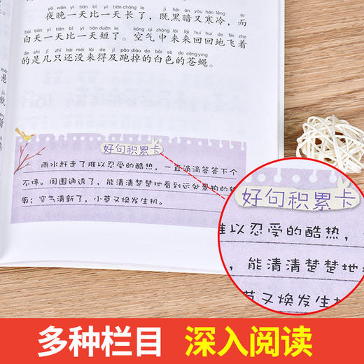 【全套4册】森林报春夏秋冬彩图注音版儿童童话故事书3-6-8-12岁正版经典儿童文学一年级二三四年级绘本小学生课外阅读书自然科普 商品图3