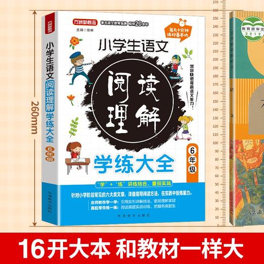 小学生语文阅读理解学练大全.6年级 商品图2